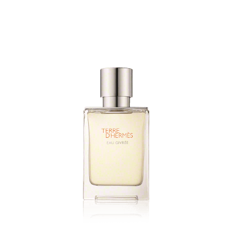 Hermès Terre d'Hermès Eau Givrée Eau de Parfum Spray (nachfüllbar) (50 ml)