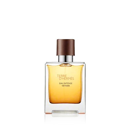 Hermès Terre d'Hermès Eau Intense Vétiver Eau de Parfum Spray (50 ml)