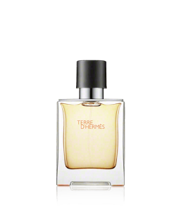 Hermès Terre d'Hermès Eau de Toilette Spray (50 ml)