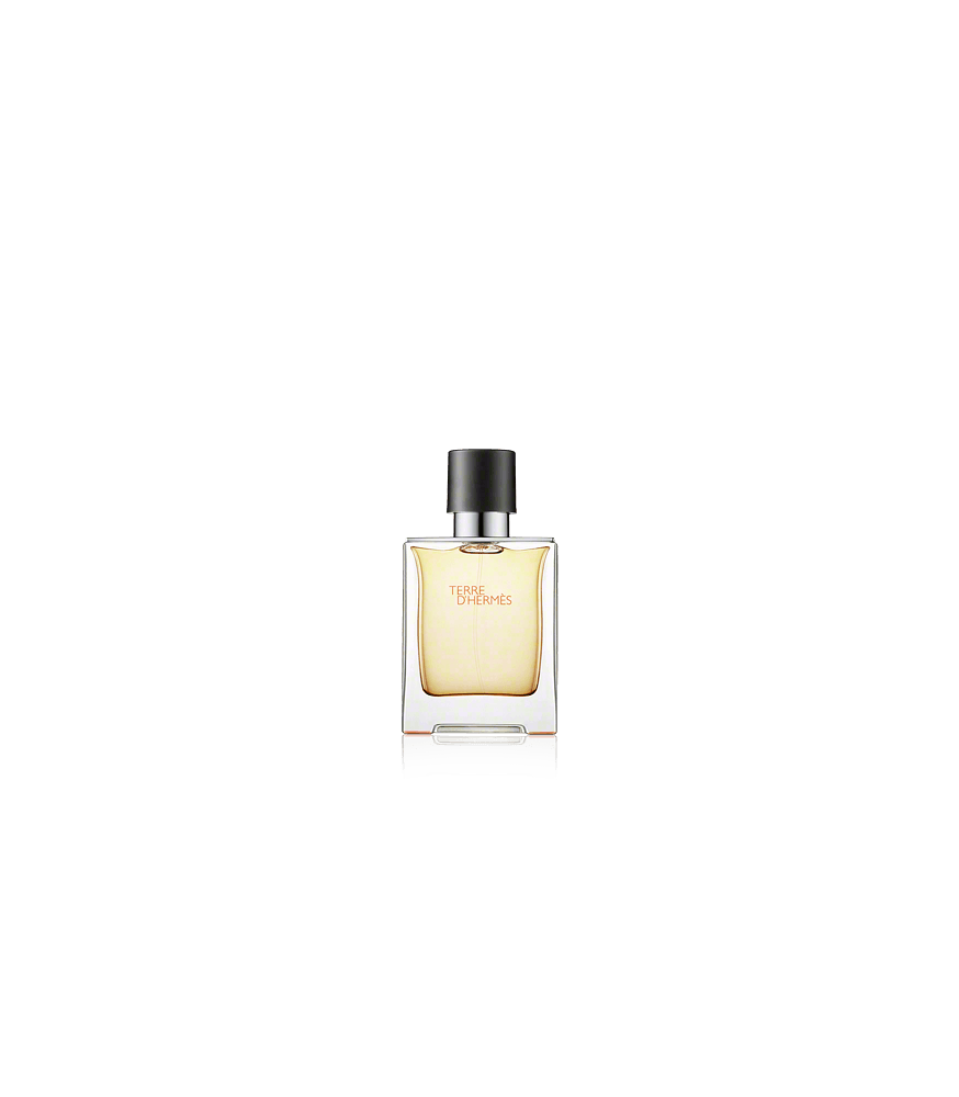 Hermès Terre d'Hermès Eau de Toilette Spray (50 ml)