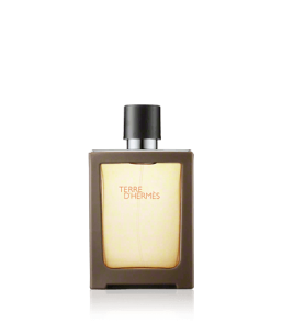 Hermès Terre d'Hermès Eau de Toilette Spray (nachfüllbar) (30 ml)