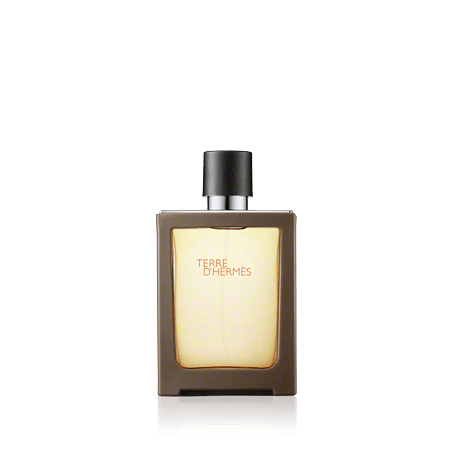 Hermès Terre d'Hermès Eau de Toilette Spray (nachfüllbar) (30 ml)