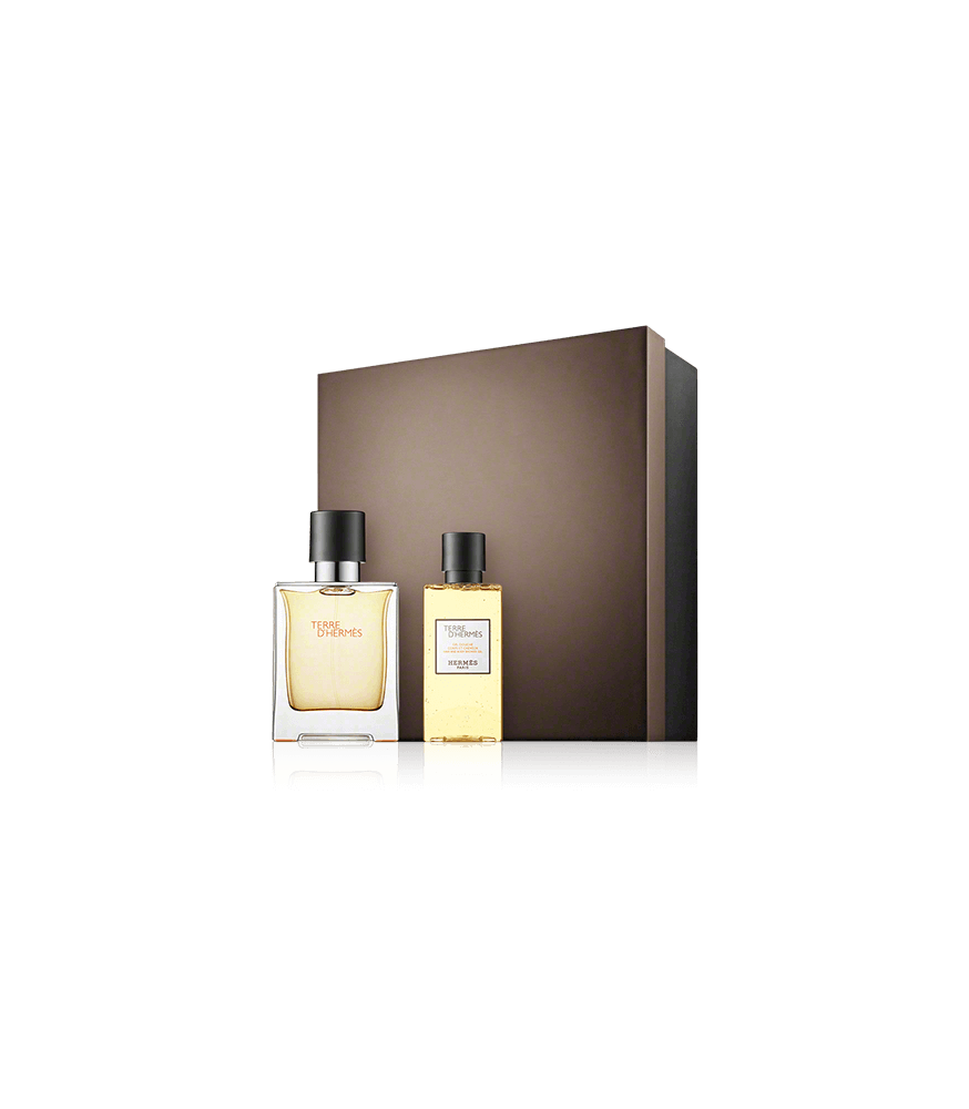 Hermès Terre d'Hermès 50 ml EdT Set mit Hair and Body Shower Gel