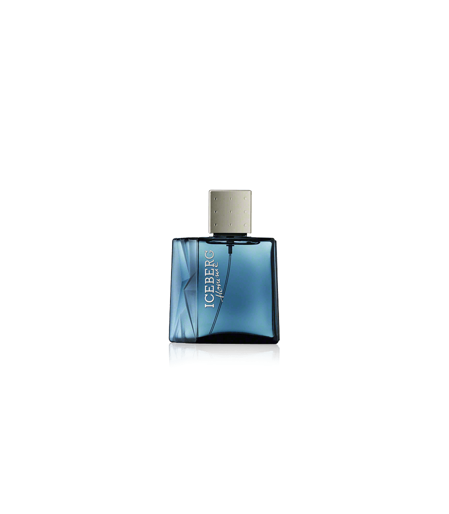 Iceberg Homme Eau de Toilette Spray (100 ml)