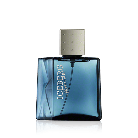 Iceberg Homme Eau de Toilette Spray (100 ml)