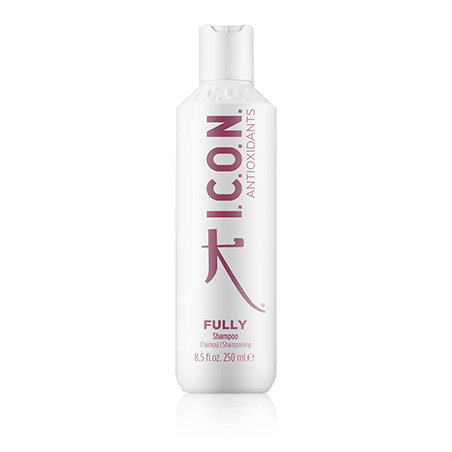 ICON Antioxidative Fully Antoxidant Shampoo (250 ml)